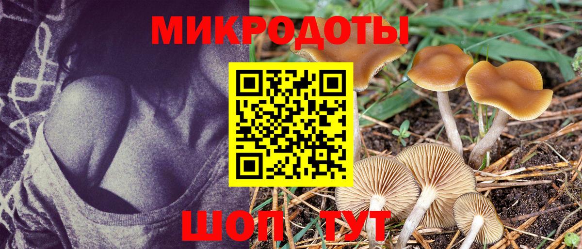Псилоцибиновые грибы MAGIC MUSHROOMS Егорьевск