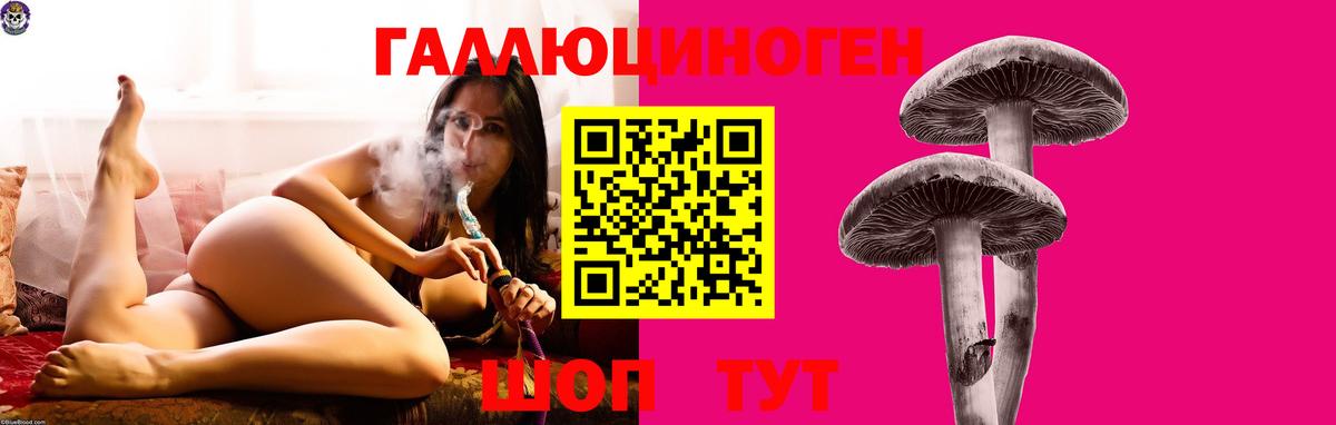 Галлюциногенные грибы прущие грибы  Псилоцибиновые грибы прущие грибы  Егорьевск  Вход с VPN 